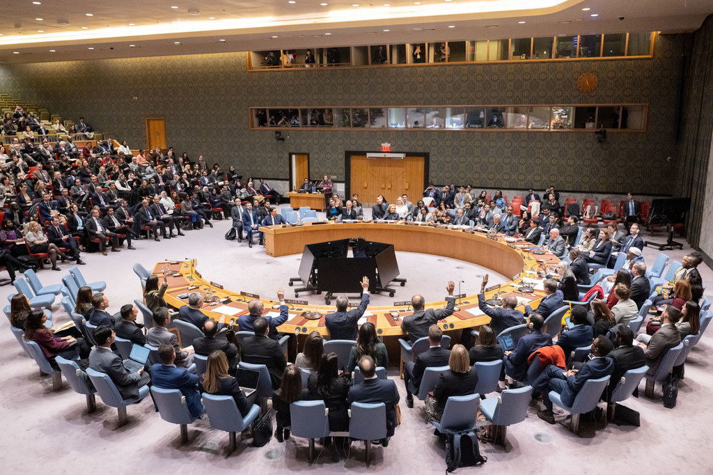Vue d'ensemble du Conseil de sécurité de l'ONU, à New York.